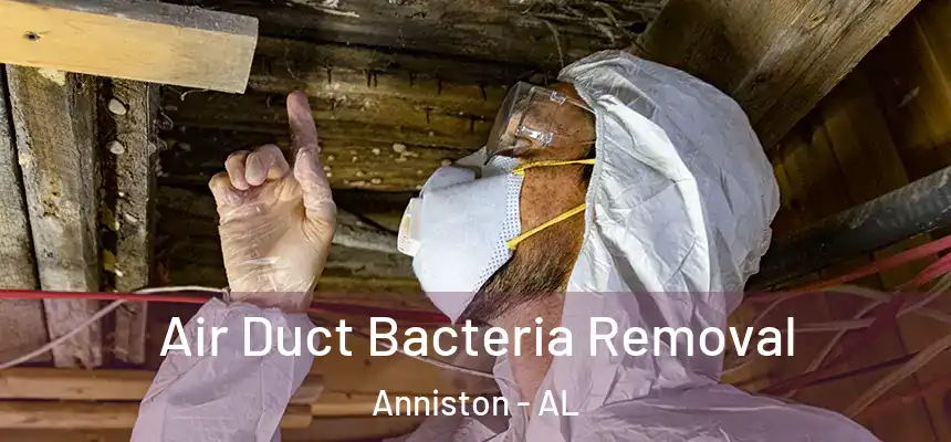 Air Duct Bacteria Removal Anniston - AL
