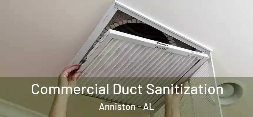  Commercial Duct Sanitization Anniston - AL
