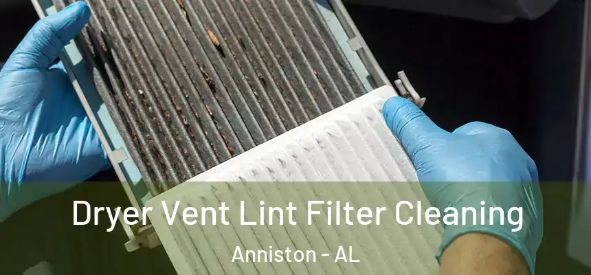  Dryer Vent Lint Filter Cleaning Anniston - AL
