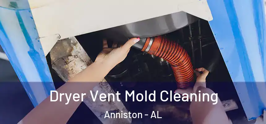  Dryer Vent Mold Cleaning Anniston - AL