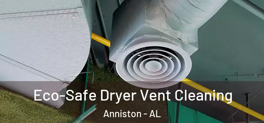  Eco-Safe Dryer Vent Cleaning Anniston - AL