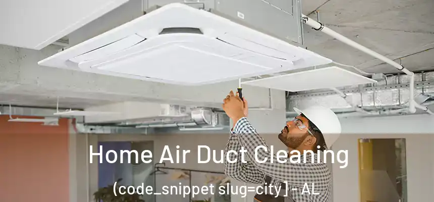  Home Air Duct Cleaning (code_snippet slug=city] - AL