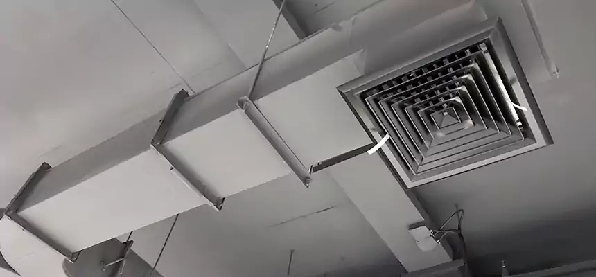 Restorative Allergy Relief Vent Cleaning – Coil, Blower & Housing Detail in Anniston