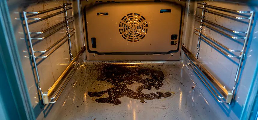 Our Dryer Vent Mold Cleaning Services in Anniston, AL