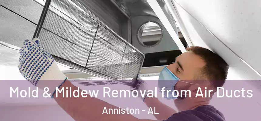 Mold & Mildew Removal from Air Ducts Anniston - AL