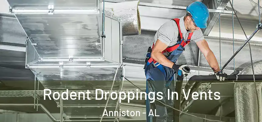  Rodent Droppings In Vents Anniston - AL