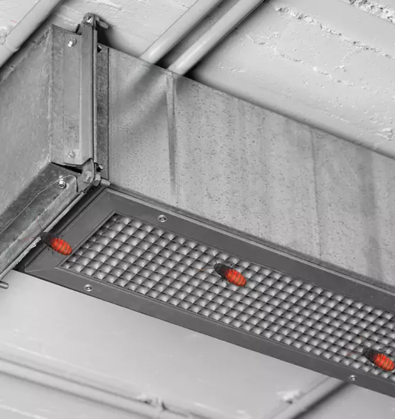 About Air Duct Cockroach Removal in Anniston, AL