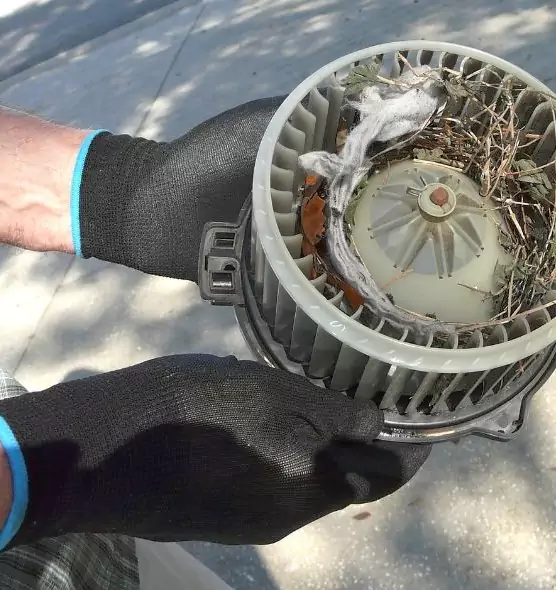 About Air Duct Rat Removal in Anniston, AL