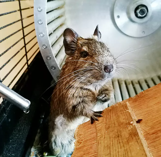 Why Homeowners & Businesses Trust Us Anniston, AL