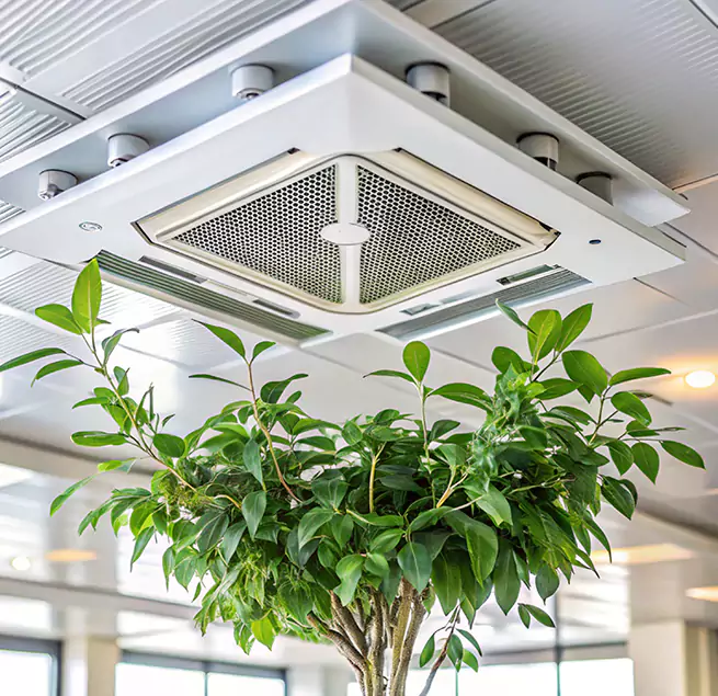 Why Homeowners & Businesses Trust Us in Anniston, AL?